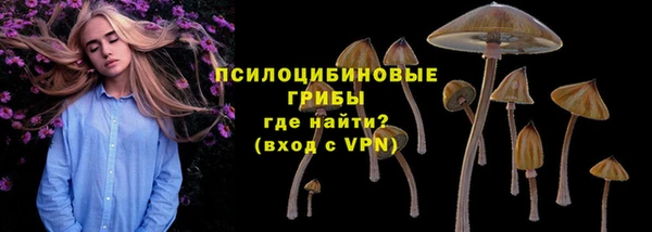 дурь Киреевск