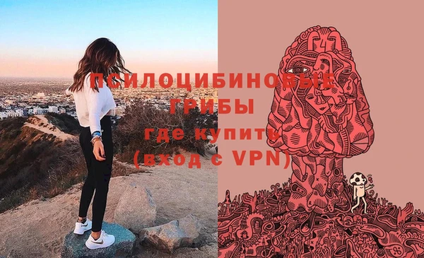 дурь Киреевск