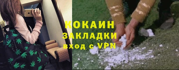 дурь Киреевск